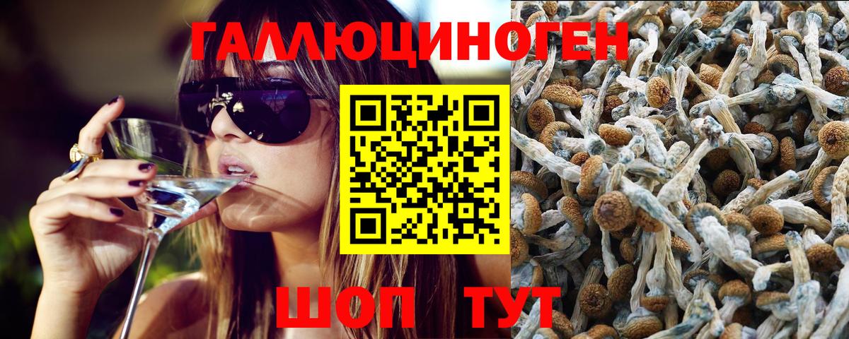 Нижнекамск  Псилоцибиновые грибы GOLDEN TEACHER  купить наркотики сайты  Вход с VPN 